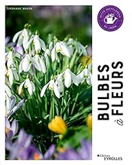 Bulbes fleurs petite d'occasion  Livré partout en Belgiqu