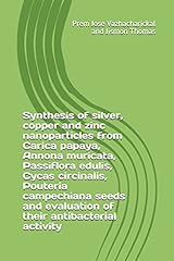 Synthesis silver copper usato  Spedito ovunque in Italia 