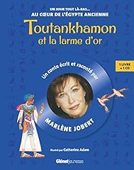 Toutankhamon larme or d'occasion  Livré partout en France