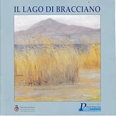 Lago bracciano usato  Spedito ovunque in Italia 