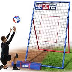Ballnet professional volleybal for sale  Delivered anywhere in USA 