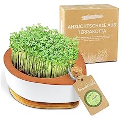 Züchte microgreens hause gebraucht kaufen  Wird an jeden Ort in Deutschland