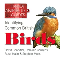 Identifying common british for sale  Delivered anywhere in UK