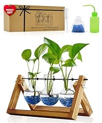 Nacome plant terrarium for sale  Delivered anywhere in USA 