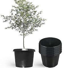 Elfinrm planter nursery for sale  Delivered anywhere in USA 