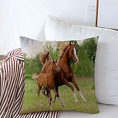 Decorative pillow covers for sale  Delivered anywhere in USA 