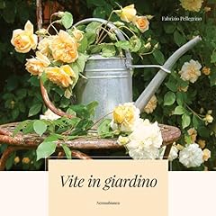 Vite giardino usato  Spedito ovunque in Italia 