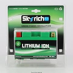 Skyrich batteria ytz10 usato  Spedito ovunque in Italia 