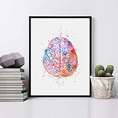 Watercolor anatomy brain for sale  Delivered anywhere in USA 