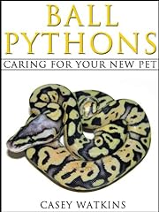Ball pythons caring for sale  Delivered anywhere in UK