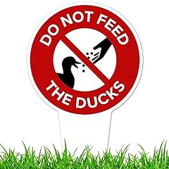 Feed ducks sign for sale  Delivered anywhere in USA 