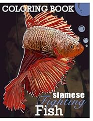 Siamese fighting fish for sale  Delivered anywhere in UK