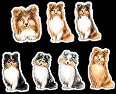 Collie sheltie set for sale  Delivered anywhere in USA 