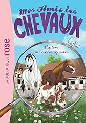 amis chevaux d'occasion  Livré partout en France