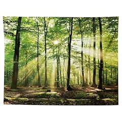 Migiftdy waldbaum wandteppich gebraucht kaufen  Wird an jeden Ort in Deutschland
