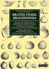 British fossil brachiopoda d'occasion  Livré partout en France