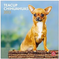Teacup chihuahuas 2013 d'occasion  Livré partout en France