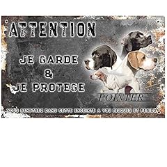 Attention chien pointer d'occasion  Livré partout en France