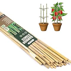 Cambaverd pcs bamboo for sale  Delivered anywhere in USA 