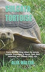 Sulcata tortoise every for sale  Delivered anywhere in USA 