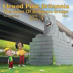 Llewod pont britannia for sale  Delivered anywhere in UK