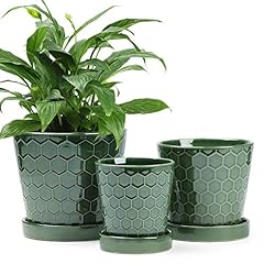 Buymax ceramic plant for sale  Delivered anywhere in USA 