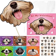 Fancy land valentines for sale  Delivered anywhere in USA 