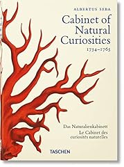 Cabinet natural curiosities for sale  Delivered anywhere in USA 