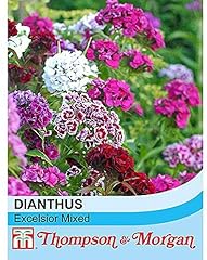 Dianthus barbatus seeds for sale Dianthus barbatus seeds for sale  Delivered anywhere in UK