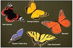 Butterfly combo mobile for sale  Delivered anywhere in USA 