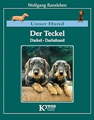 Hund teckel dackel gebraucht kaufen  Wird an jeden Ort in Deutschland