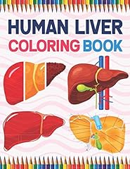 Human liver coloring for sale  Delivered anywhere in USA 