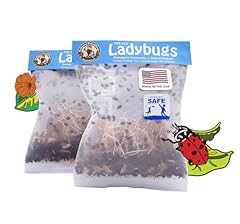3000 live ladybugs for sale  Delivered anywhere in USA 