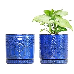 Yffsrjdj ceramic pots for sale  Delivered anywhere in USA 
