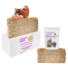 Best eggs ever for sale  Delivered anywhere in USA 