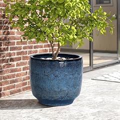 Luxenhome 15.5 inch for sale  Delivered anywhere in USA 