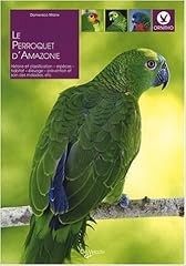 Perroquet amazonie domenico d'occasion  Livré partout en France