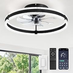 Lediary ceiling fans for sale  Delivered anywhere in USA 