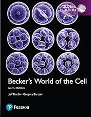 Becker world the usato  Spedito ovunque in Italia 