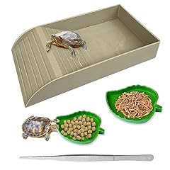 Ngoray tortoise feeding for sale  Delivered anywhere in USA 