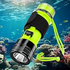 Kriogor tauch taschenlampe gebraucht kaufen  Wird an jeden Ort in Deutschland