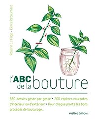 Abc bouture 550 d'occasion  Livré partout en Belgiqu