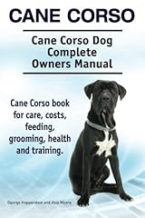 Cane corso. cane d'occasion  Livré partout en France