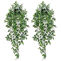 Whonline 2pcs fake for sale  Delivered anywhere in USA 