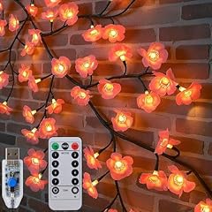 Qoosea luci decorazione usato  Spedito ovunque in Italia 