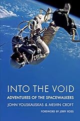 Into the void usato  Spedito ovunque in Italia 