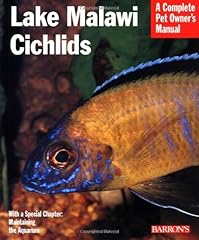 Lake malawi cichlids for sale  Delivered anywhere in USA 