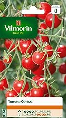 Vilmorin 3974040 tomate d'occasion  Livré partout en France