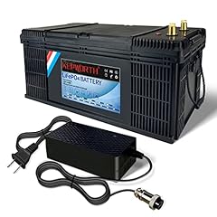 Batterie lithium lifepo4 d'occasion  Livré partout en France