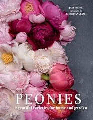 Peonies beautiful varieties for sale  Delivered anywhere in USA 
